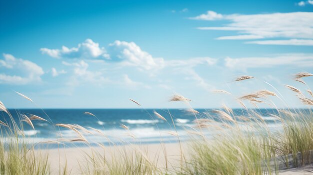 Coastal Breeze - 8 oz Candle