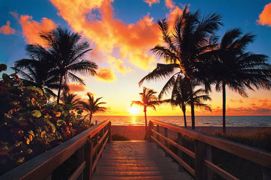 Tropical Sunrise - 8 oz Candle